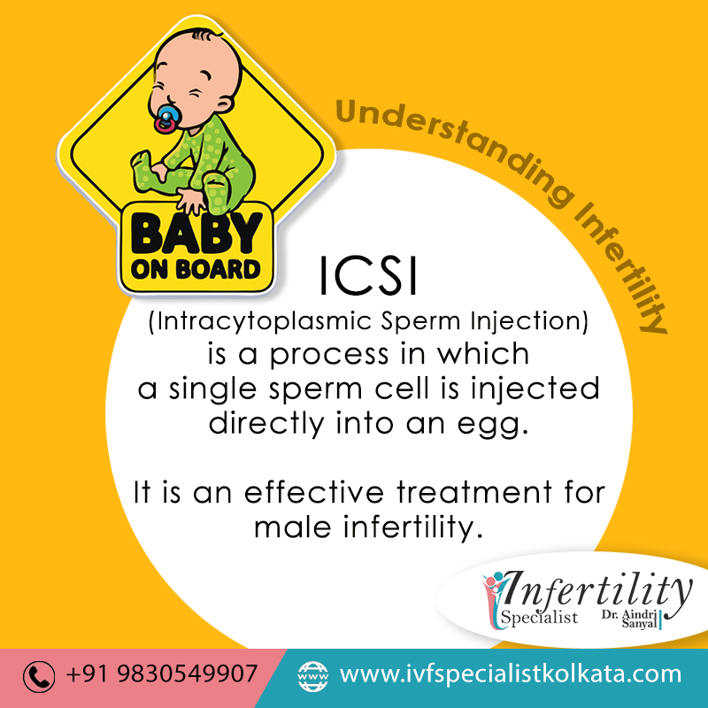 ICSI Procedure - IVF Specialist Kolkata