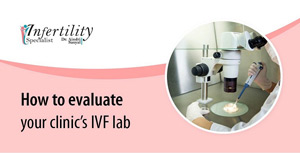 IVF-lab2